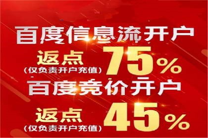 深入解析SEM账户竞价运营成功案例